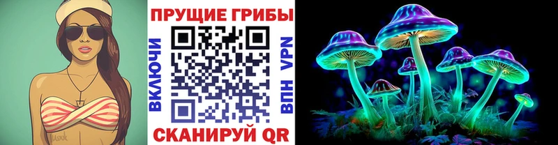 ссылка на мегу ССЫЛКА shop какой сайт Псилоцибиновые грибы прущие грибы Новоуральск