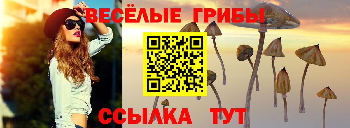 Галлюциногенные грибы прущие грибы Новоуральск